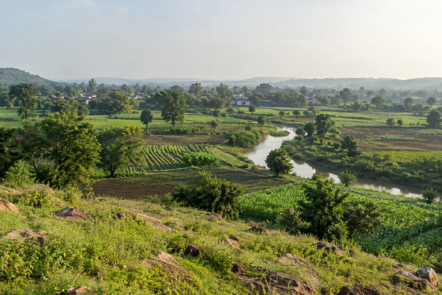 Illustrative photo of green agricultural fields and a waterway